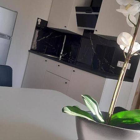 Apartma Ana โคเปร์ ภายนอก รูปภาพ