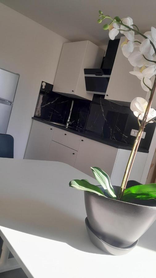 Apartma Ana โคเปร์ ภายนอก รูปภาพ